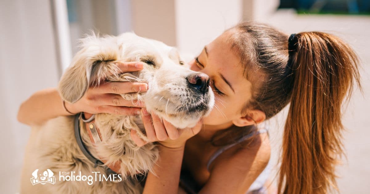 Comment Nos Chiens Sont Devenus Nos Bébé à Quatre Pattes