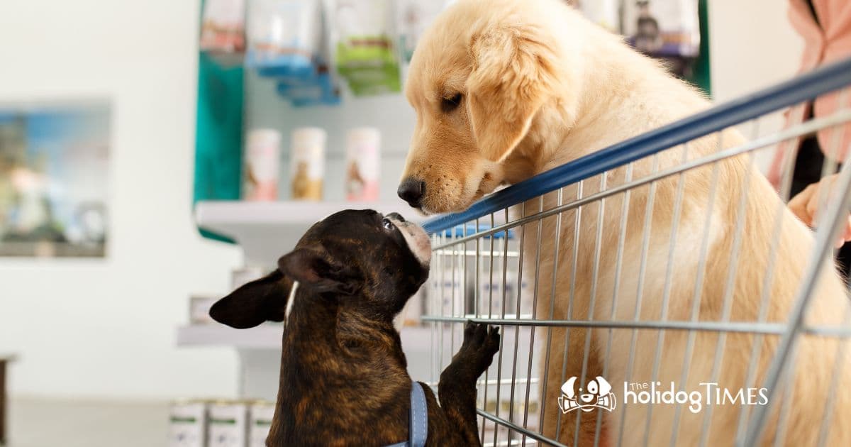 Le Marché des Animaux de Compagnie en 2024