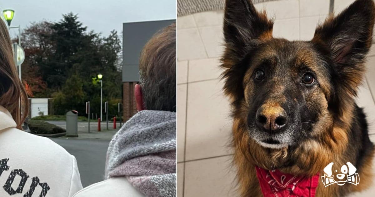 A Mother's Fight for Justice After Police Shoot Her Dog