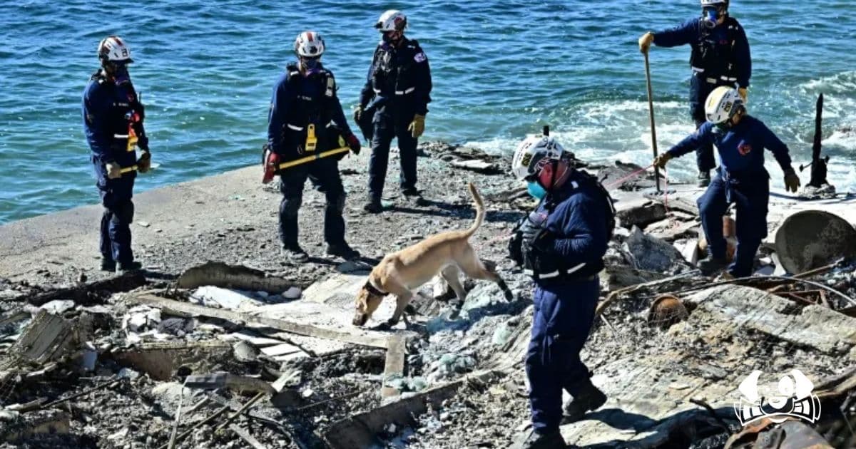 Dogs Assist Los Angeles Firefighters in Wildfire Rescue Efforts