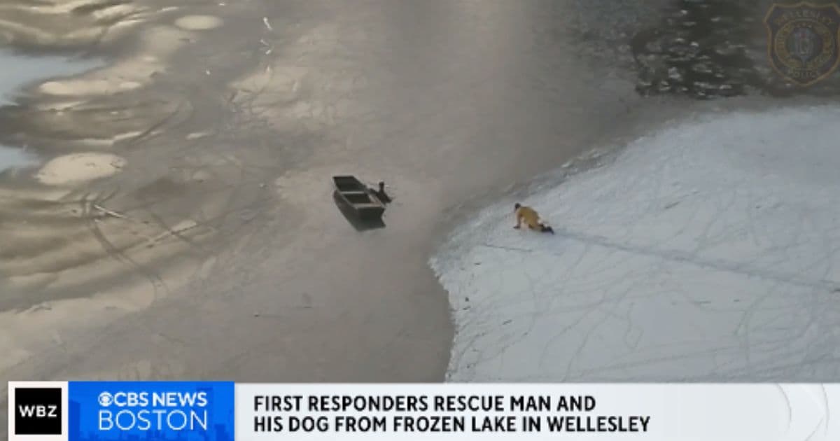 Father Risks Life to Save Dog from Frozen Lake in Massachusetts