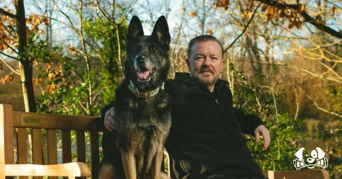 Beloved Dog from Netflix’s "After Life" Passes Away at 13