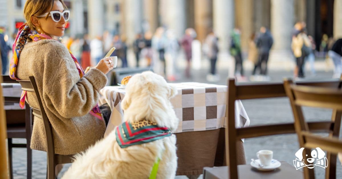 Pet Care Innovation: Italy Introduces the 2025 Pet Bonus Worth Up to €550