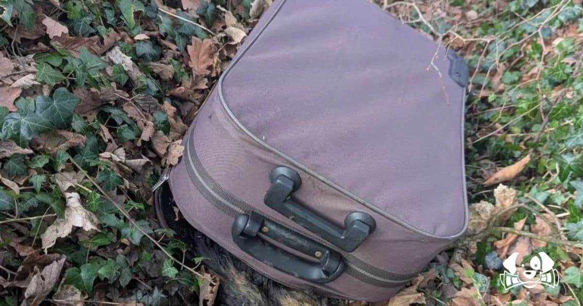 UK Police and RSPCA Investigate Dog Found in Suitcase