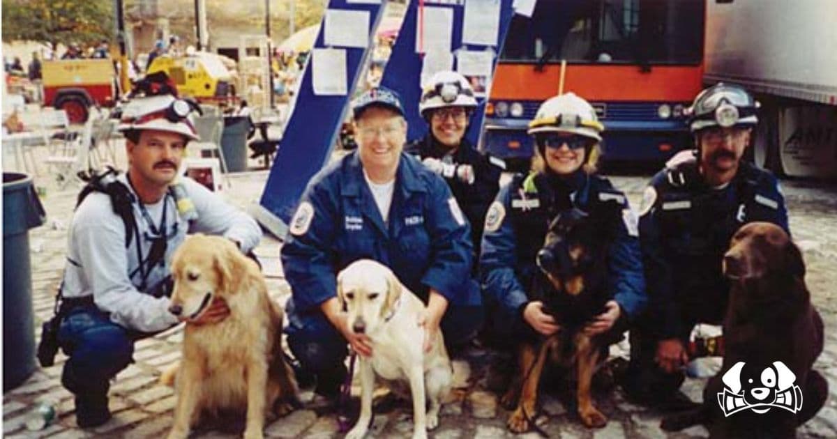 The Dogs Who Participated in the 9/11 Rescue Operations