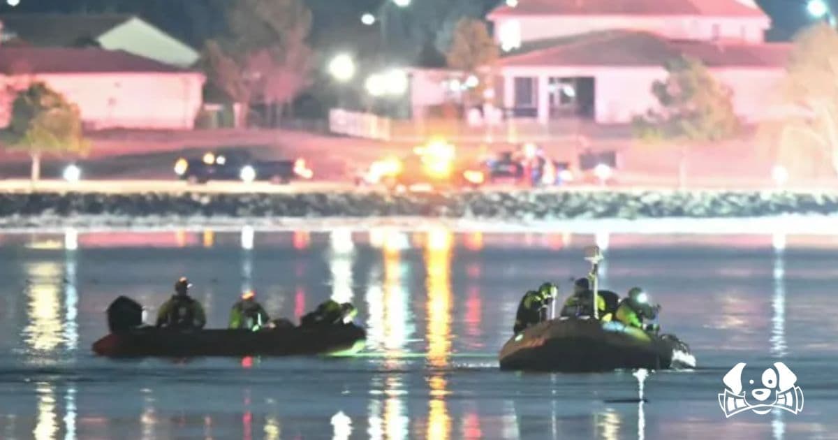 Washington Plane Crash: Skater Escapes Tragedy Thanks to His Dog