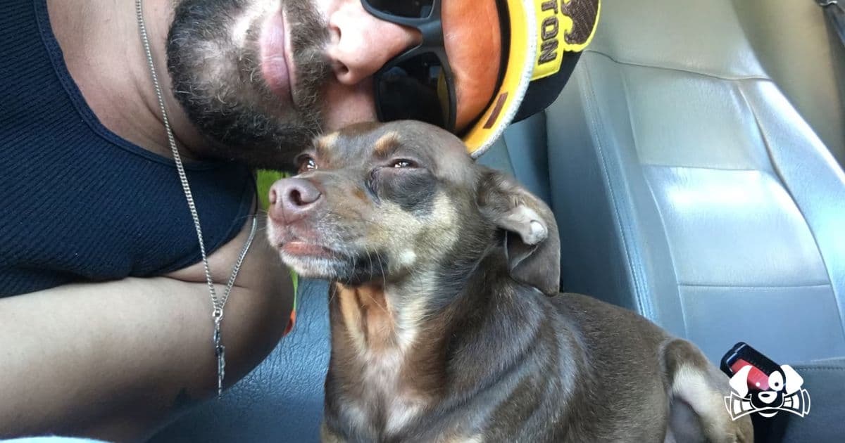 Eight Years Lost: A Man and His Dog Reunite Against All Odds