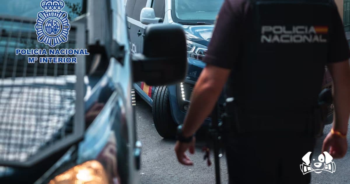 Man Arrested in Menorca for Throwing His Partner's Dog Out the Window