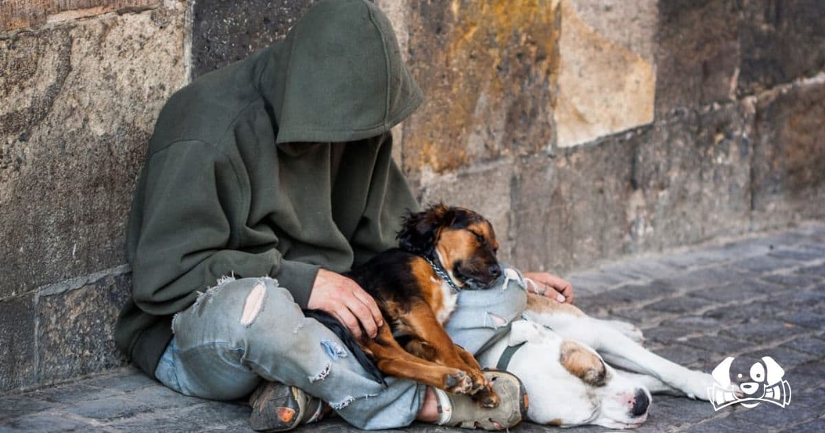 He Lost His Home but Prefers Sleeping on the Streets Rather Than Leaving His Dog
