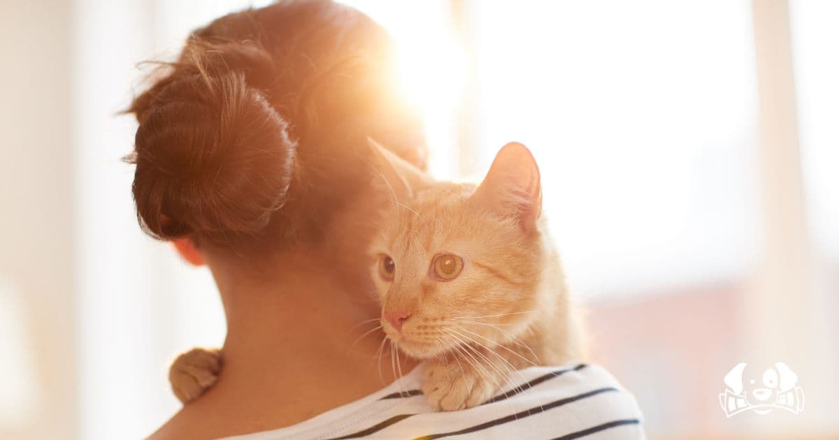 Bird Flu Can Spread From Humans to Cats With Fatal Consequences