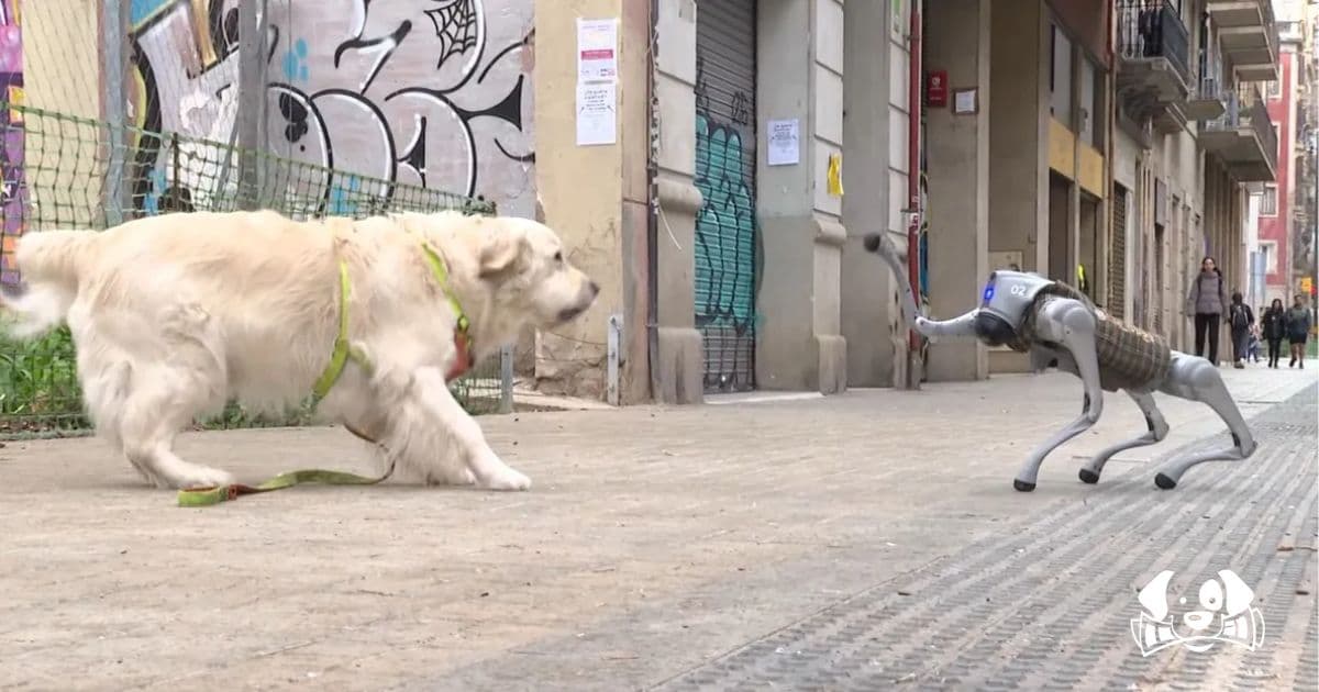 Khlipper, the Robot Dog That Is Turning Heads in Barcelona