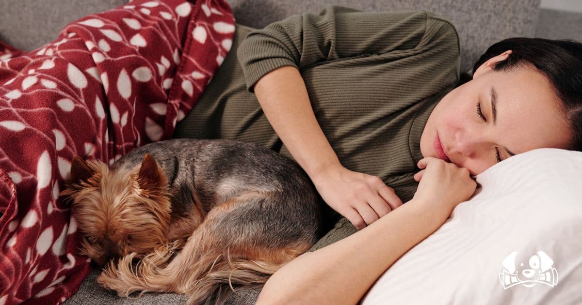 Sleeping With Pets: Beneficial or Bad for Your Health?