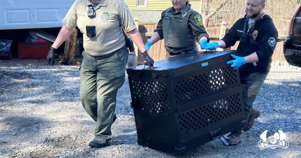 Search for Missing Dog Uncovers Animal Cruelty Case; 27 Dogs Rescued