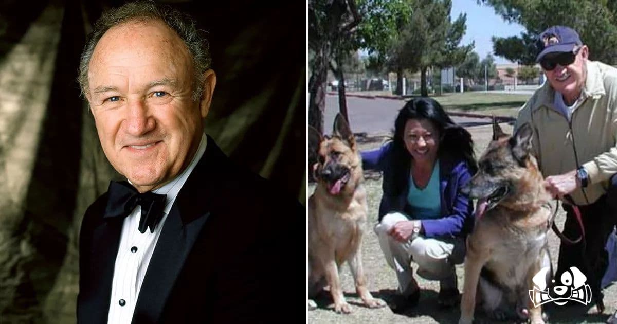 Gene Hackman: The Two Surviving Dogs Have Found a New Home
