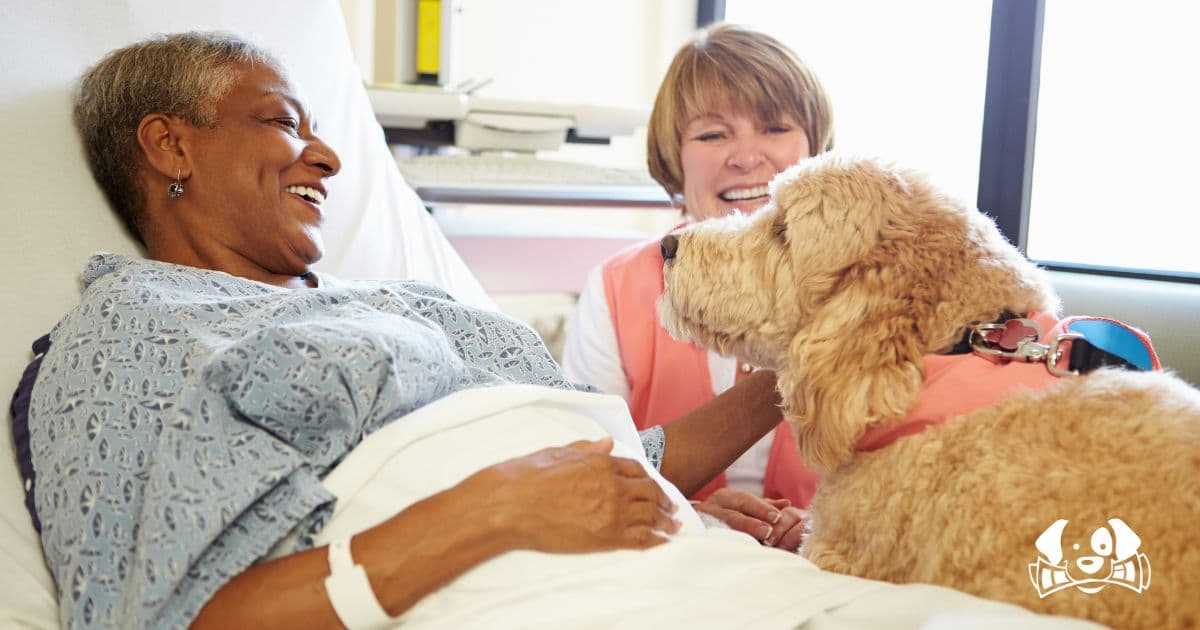 Tuscany Opens Hospital Doors to Pets for Patient Well-Being