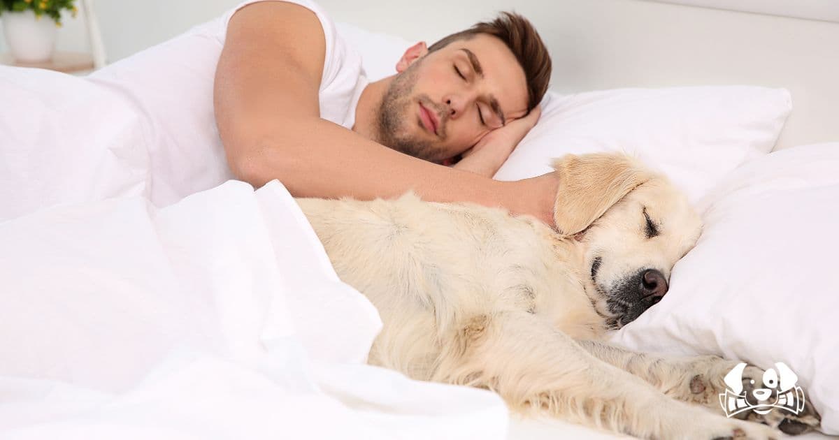 Are dogs the new children?