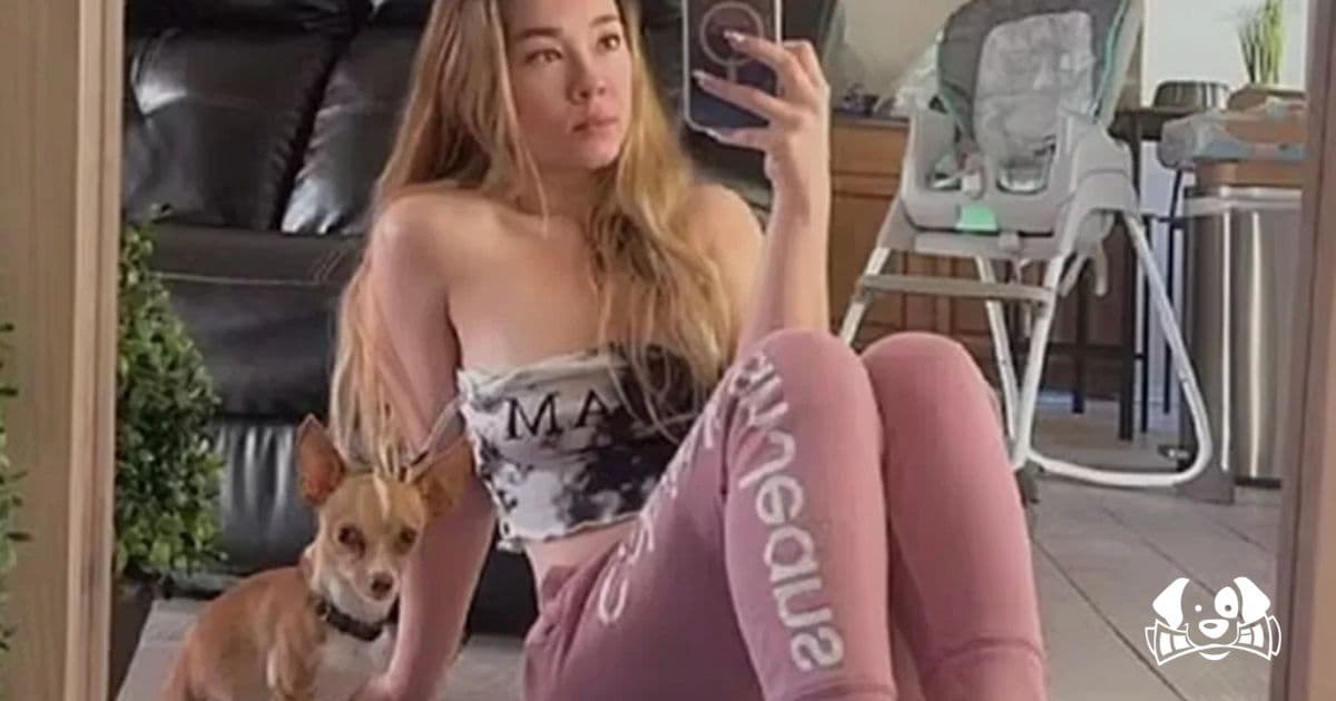 "Dog Mum" Arrested After Filming Sexual Acts with Her Chihuahua and Posting Online