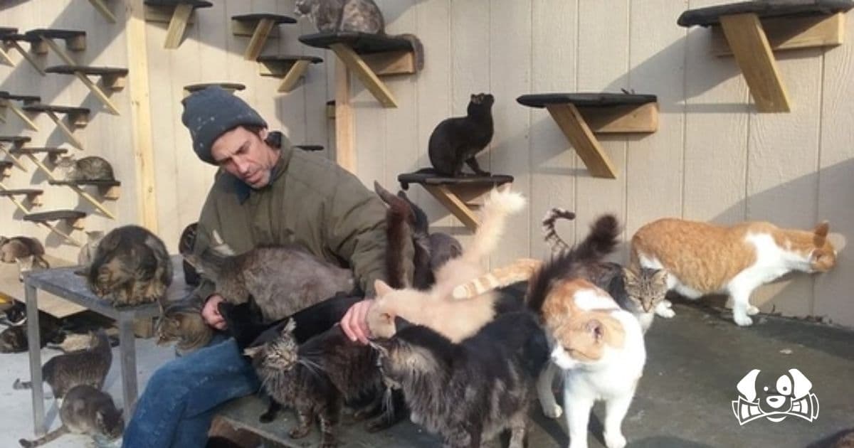 Tragedy at Happy Cat Sanctuary: Founder and Dozens of Cats Killed in Long Island Fire