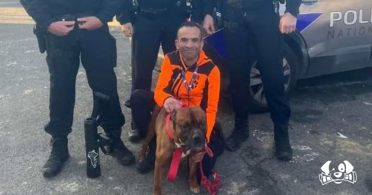 Calls Grow for Mandatory Reporting When Cats Are Hit by Drivers