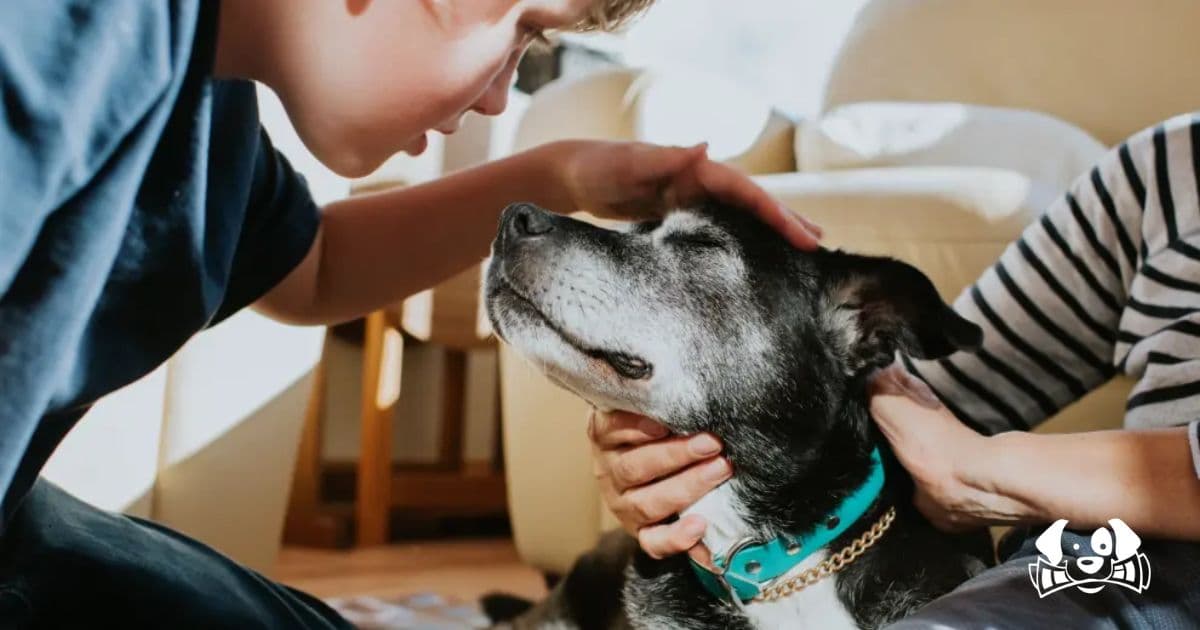 A Study Reveals That the Bond With a Dog Can Be More Satisfying Than With Friends or Family