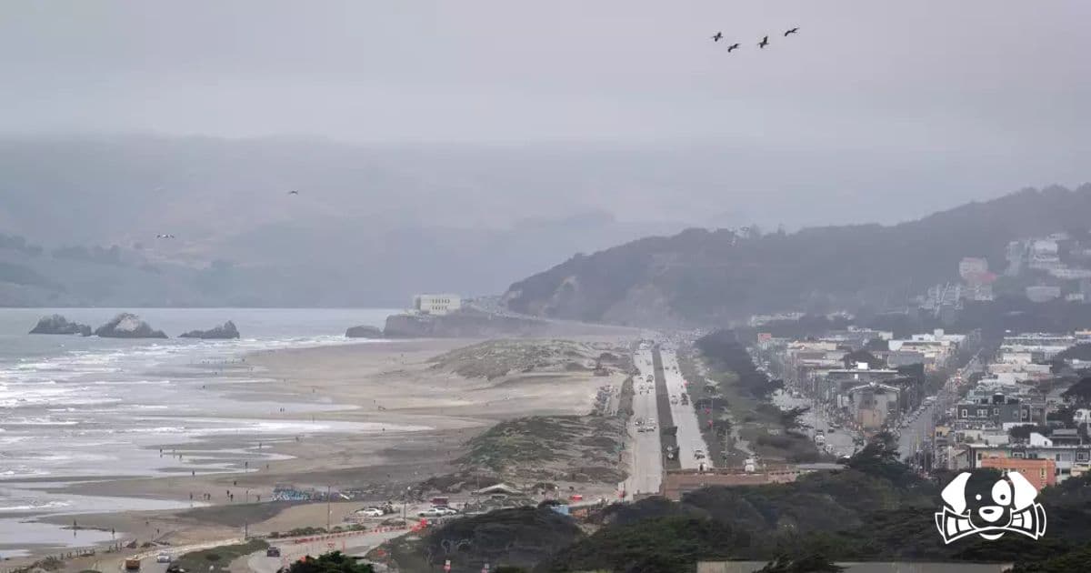 Man Dies After Trying to Save Dog From Ocean at San Francisco Beach