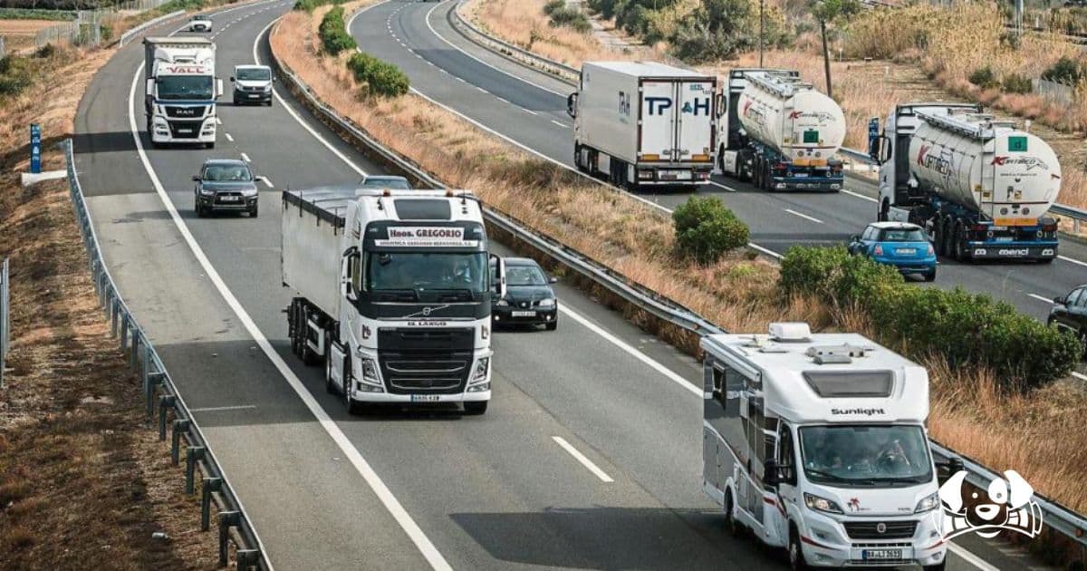 Controversy Erupts Over Dog Fatally Shot by Police on Tarragona's A-7 Highway