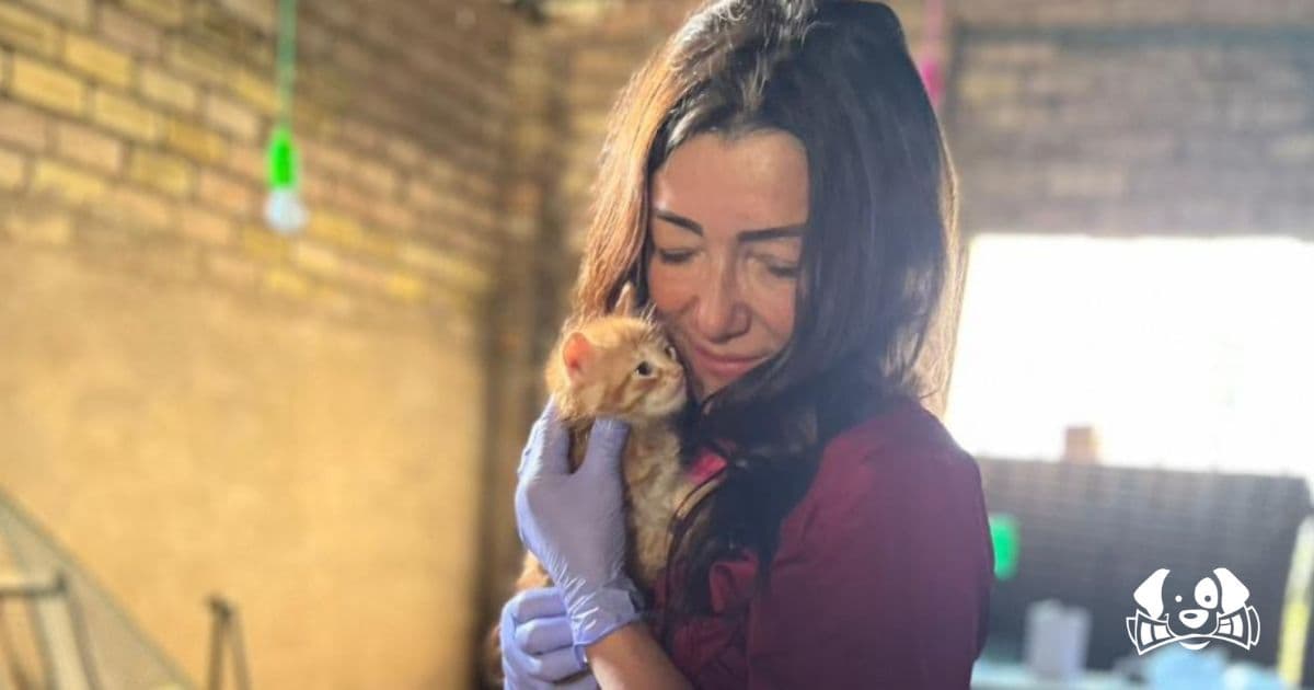 Guided by the Heart: María José Domínguez and Her Mission to Protect Cantillana's Street Cats