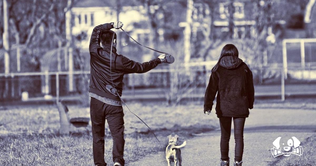 Dog Owner's Brave Confrontation with Alleged Thief Ends in Violence and Arrest in Vitoria-Gasteiz