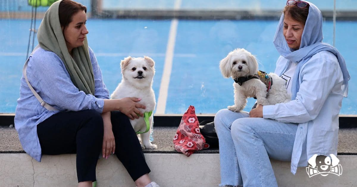 Iran’s New Crackdown: Walking Your Dog Now a Crime