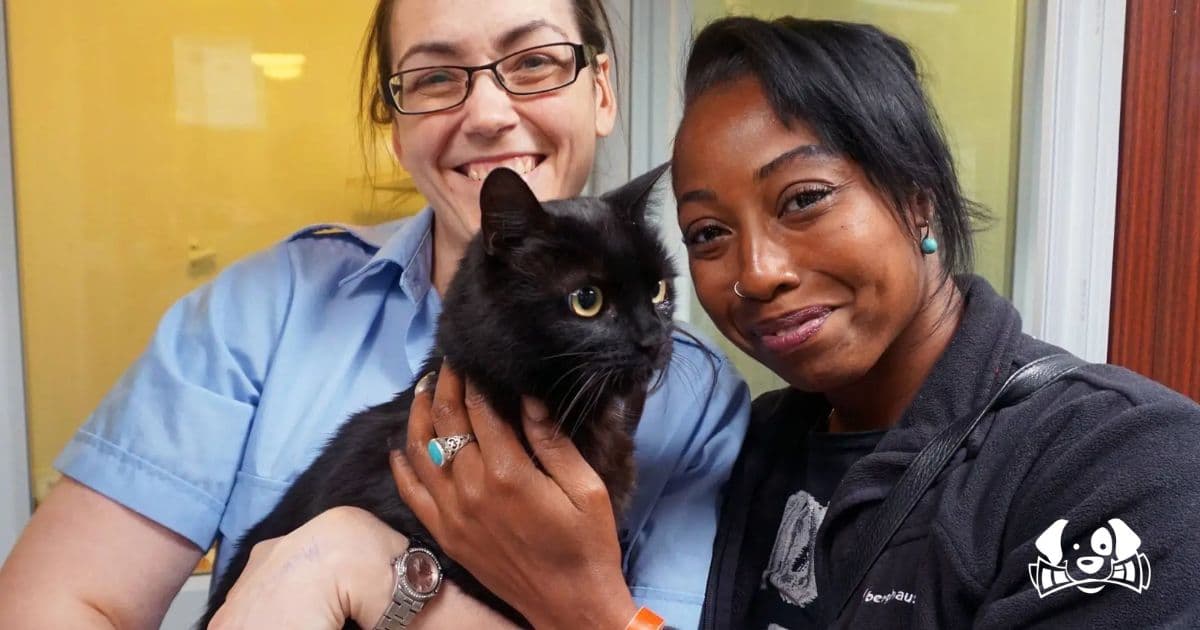 Eight Years Missing: A Cat Miraculously Reunites With His Owner
