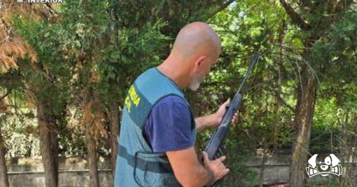 Labrador Shot Dead With Pellet Gun: Police Investigate Man in Spanish Village