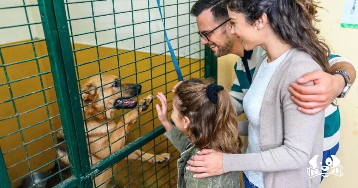 Europe Moves to Ban Shock Collars, Pet Store Sales of Dogs and Cats, and Enforces Mandatory Microchipping