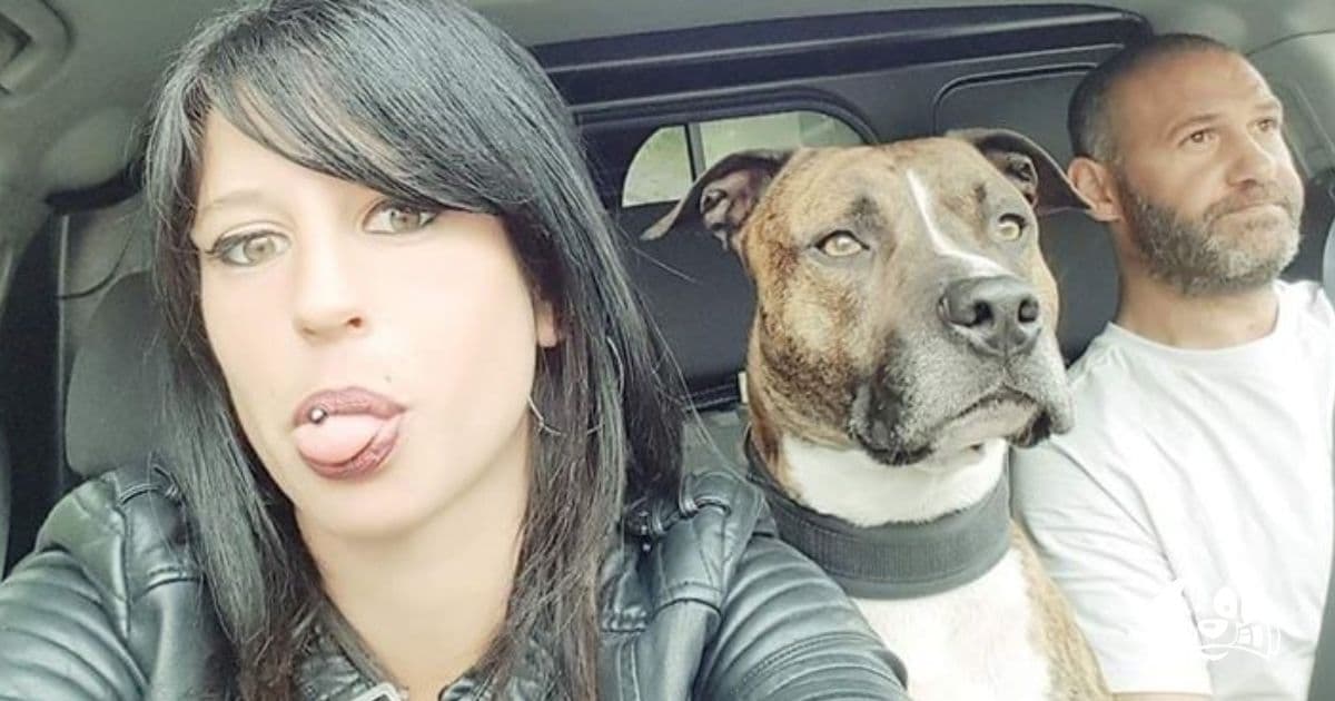 Man to Stand Trial After Dog Kills Pregnant Partner in Tragic Mauling Case