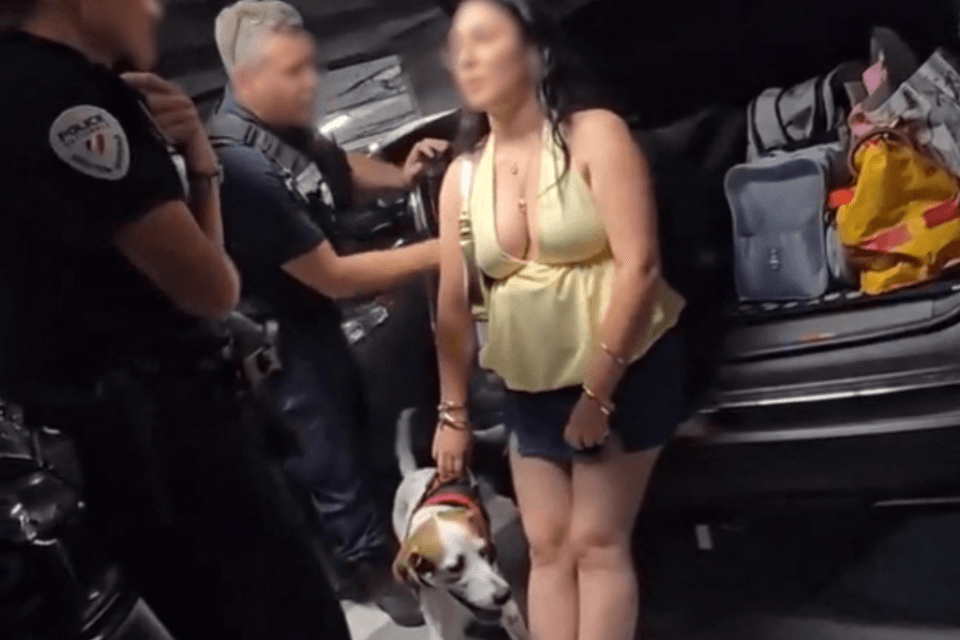 Un chien enfermé plus de 3 heures dans une voiture en pleine vague de chaleur