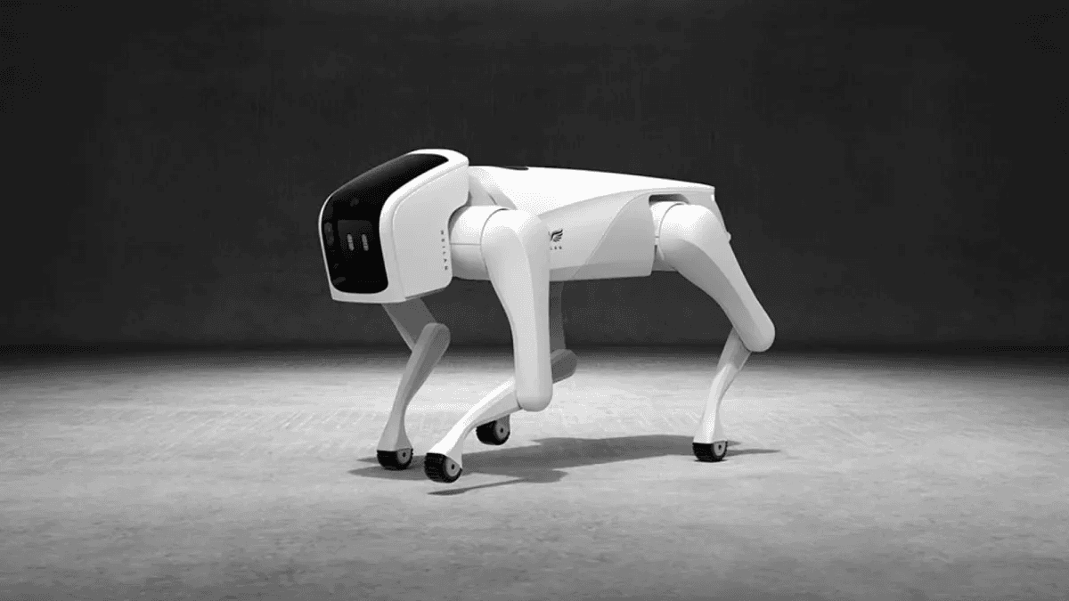 Les « pet robots » à intelligence artificielle : la nouvelle frontière des compagnons pour la maison