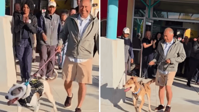 Nach über zwei Jahren im Tierheim: Dieser Hund erlebt endlich seinen großen Tag