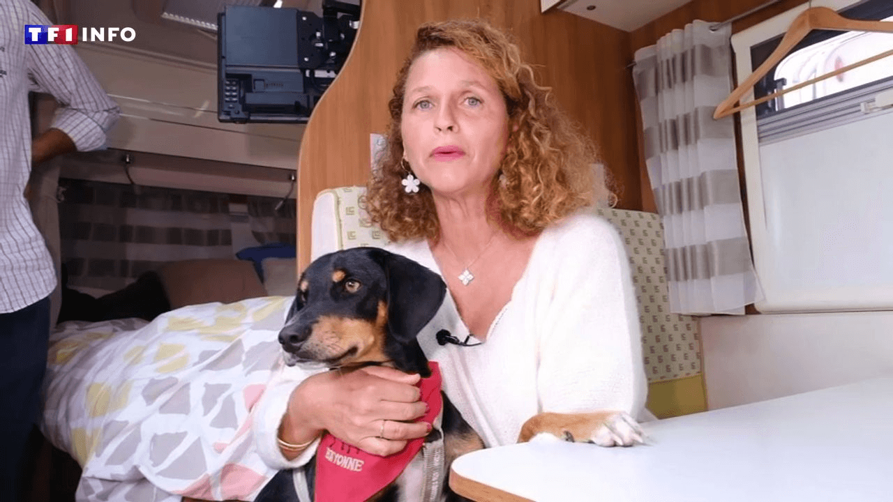 En Bretagne, un chien sauve la vie d’un couple de camping face à un incendie