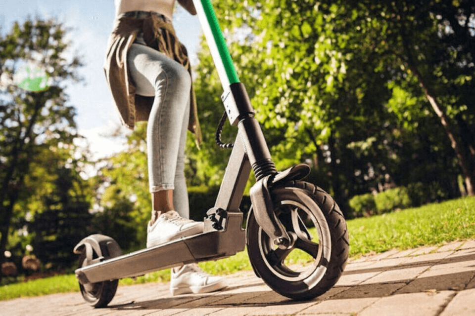 Cotentin : la tragédie d’un chien percuté par une trottinette électrique sur une voie verte
