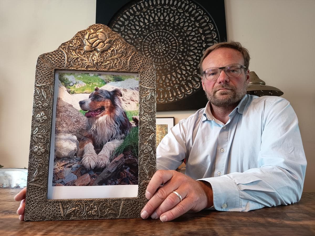 Justice pour Lanko : quand le poison mort-aux-rats met en danger nos chiens en Dordogne