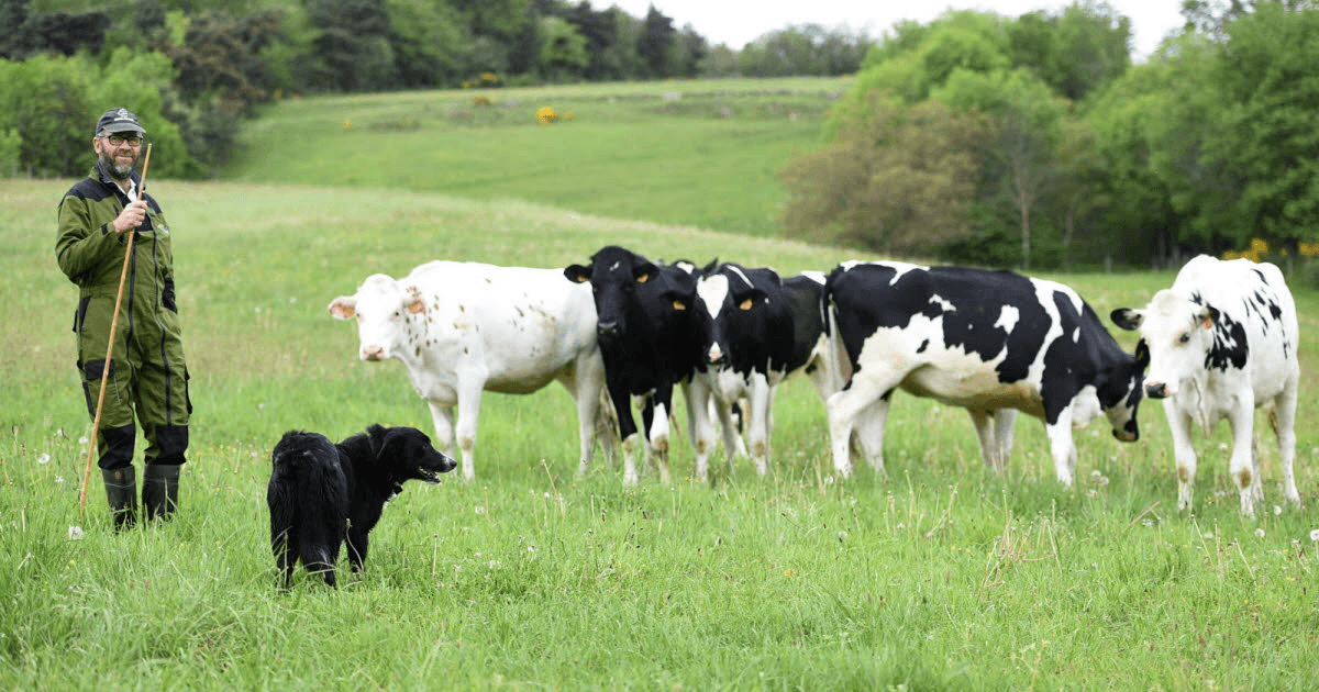 Christian et Tip : le duo incontournable pour maîtriser les pâturages