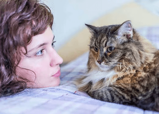 Et vous, savez-vous parler le « miaou » ? Apprenez à décoder le langage félin