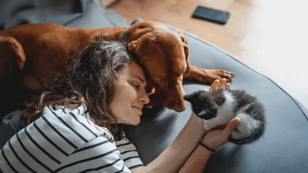 Pourquoi un quart des Français placent leur animal de compagnie avant leurs propres besoins