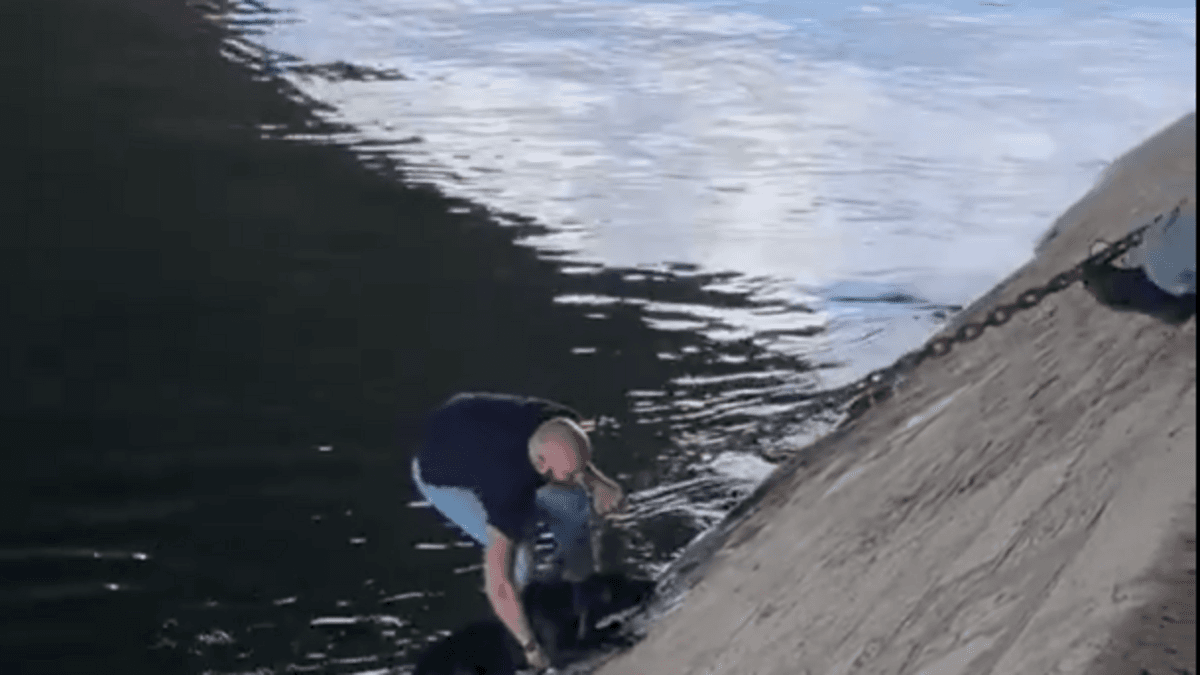 Sauvetage émouvant d’un chien tombé dans la Seine à Paris